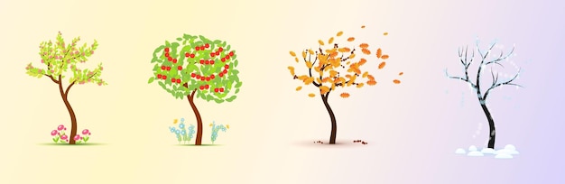 Seasons Tree in four stages spring summer autumn winter Vector