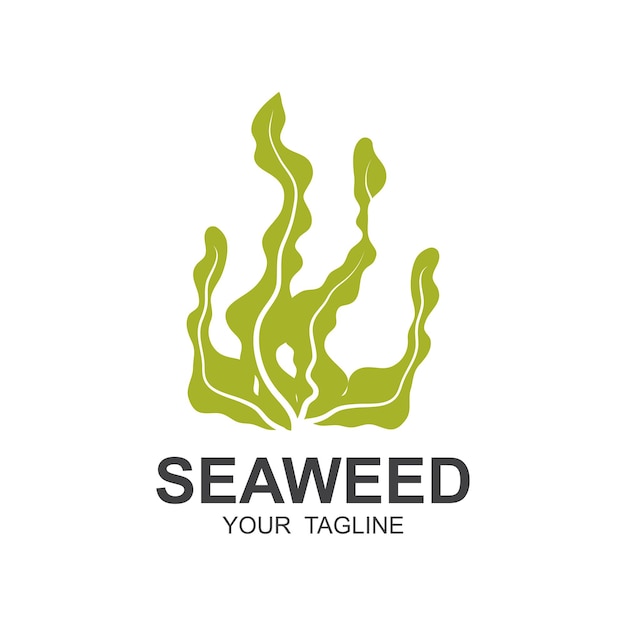 Seaweed Logo Design Underwater Plant Illustration Cosmetics And Food Ingredients