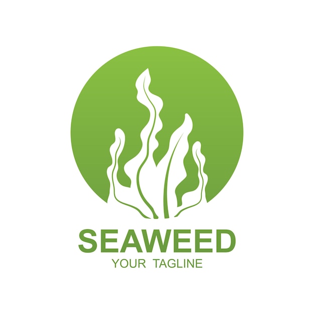 Seaweed Logo Design Underwater Plant Illustration Cosmetics And Food Ingredients