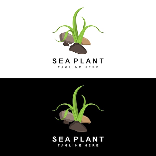 Seaweed Logo Sea Plants Vector Design Grocery And Nature Protection