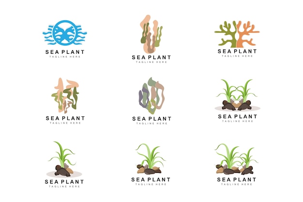 Seaweed Logo Sea Plants Vector Design Grocery And Nature Protection