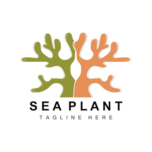 Seaweed Logo Sea Plants Vector Design Grocery And Nature Protection