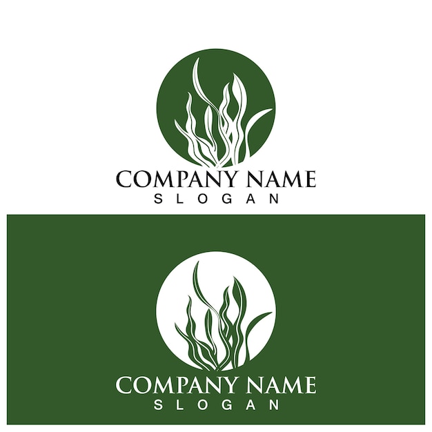 Seaweed logo and vector template