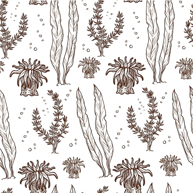 Seaweed pants underwater sealife botany foliage seamless pattern