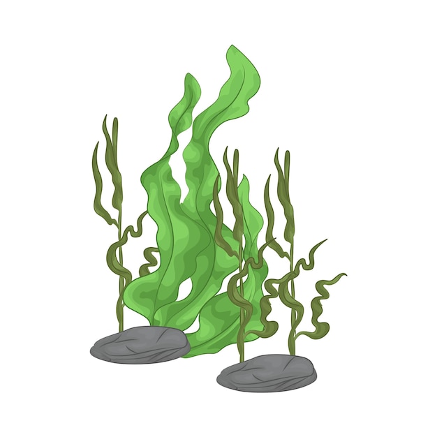 Vector seaweed