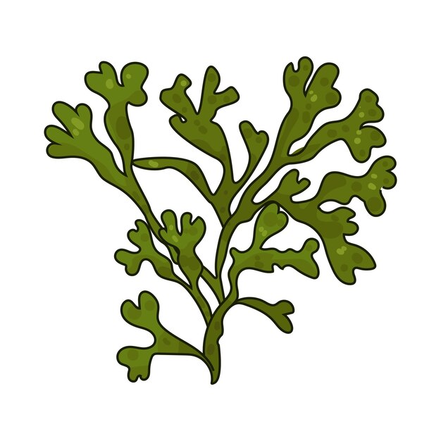 Vector seaweed