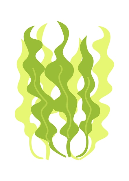 Seaweeds Sea Plant Vector illustration