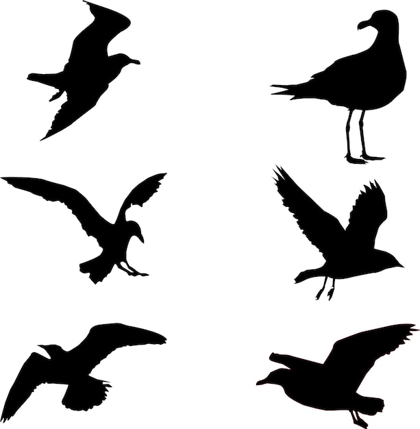 segal bird drawing Silhouettes