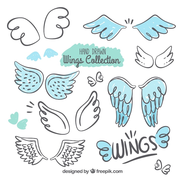 Selection of decorative wings with blue details