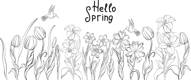 Vector selection of doodle pictures cute tulips daffodils bells daisies birds handdrawn