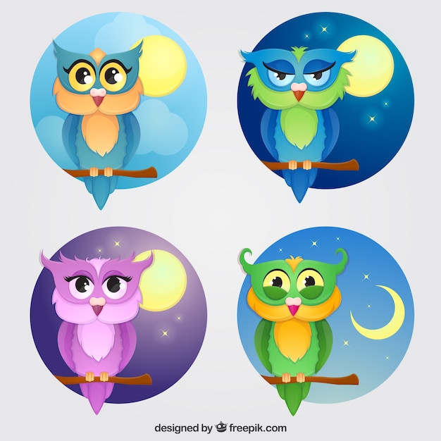 Selection of four colored owls with different backgrounds