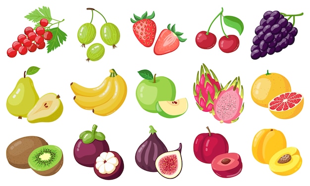 Selection of various fruits