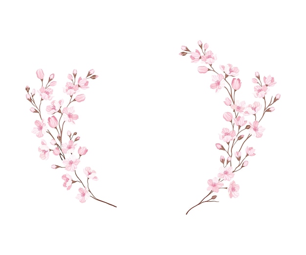 Vector semicircle border arranged of twigs of sakura or cherry blossom vector illustration