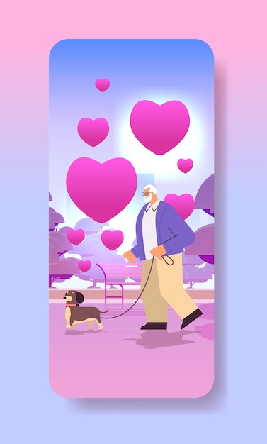 Vector senior man in love walking in park with his little dog grandfather relaxing with pet valentines day celebration concept