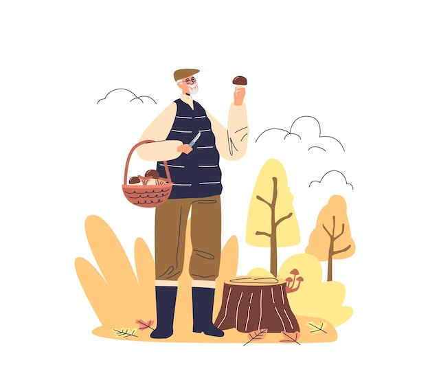 Senior man picking mushroom in autumn forest Older male with basket gathering mushroom harvest