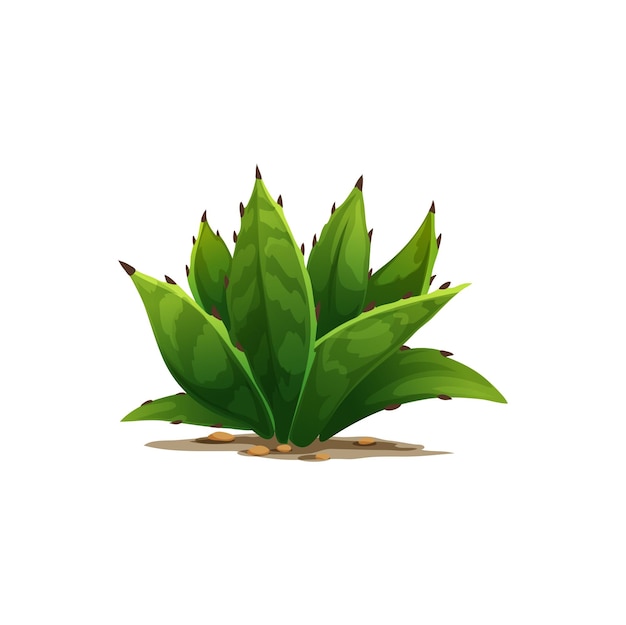 Sentry plant agave americana isolated cactus icon