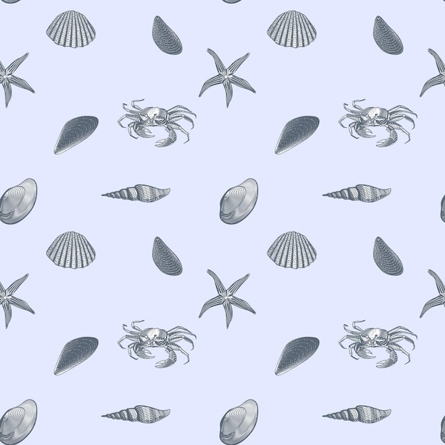 Vector serene sea shells and sea grass designs perfect for coastal crafts decor and digital art projects