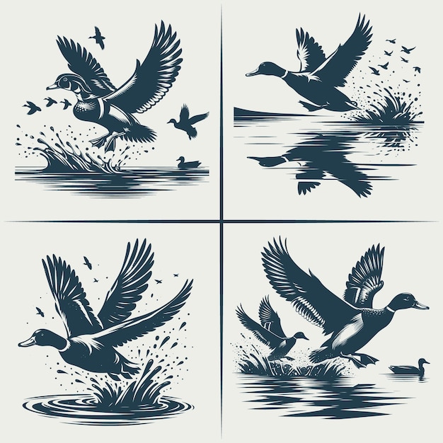 a series of images of ducks swimming in the water