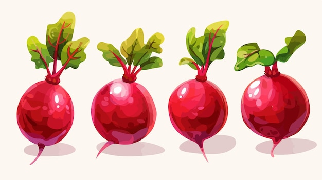 a series of images of radishes with leaves and leaves