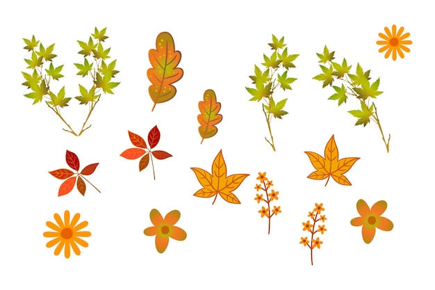 a series of leaves and flowers with leaves that say autumn