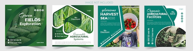 Service Of Agricultural And Farming Social Media Post design template Set