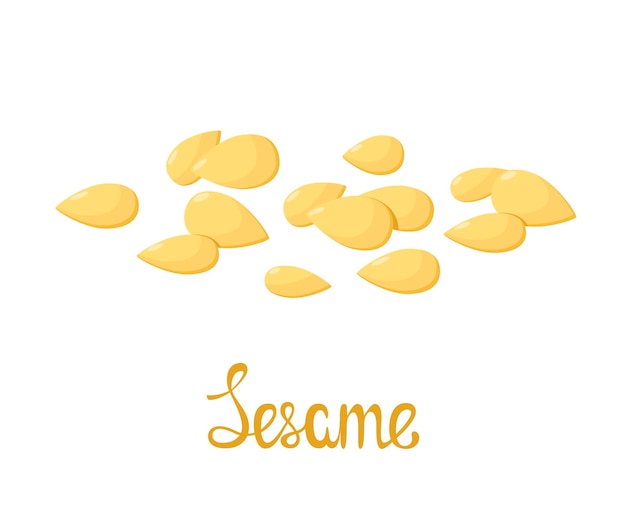 Sesame seeds on a white background Cartoon design Spice