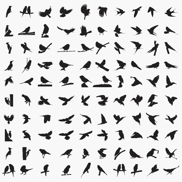 Set of 100 silhouettes of birds