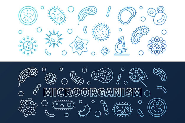 Vector set of 2 microorganism blue creative vector outline banners