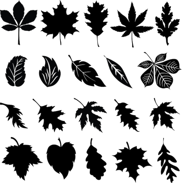 Vector set of 20 fall leaf