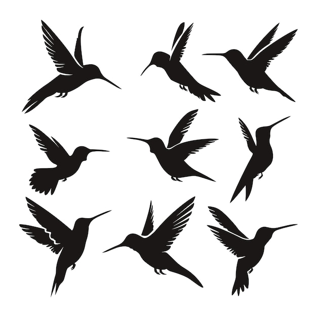 Vector set of 9 hummingbird silhouettes in different poses