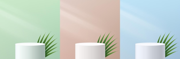 set of abstract 3d white cylinder pedestal podium with leaf and green beige and blue wall scene