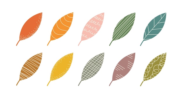 Set of abstract colorful leaves with graphic elements