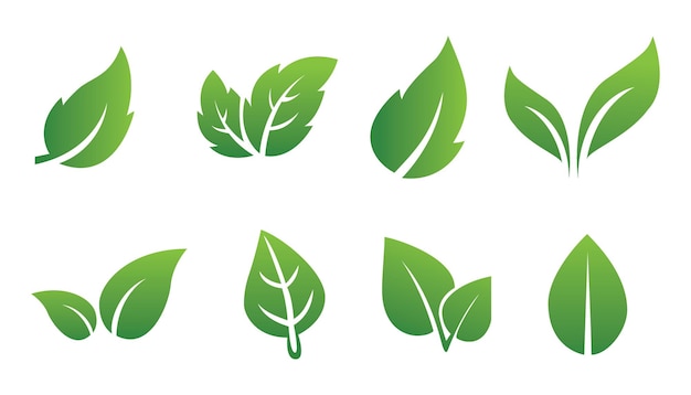 Set of abstract isolated green leaves icons on white background