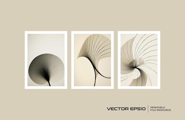 Set of abstract monochrome style Botanical wall decoration Floral background vector design