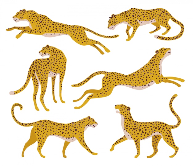 Set of abstract silhouettes of leopards.