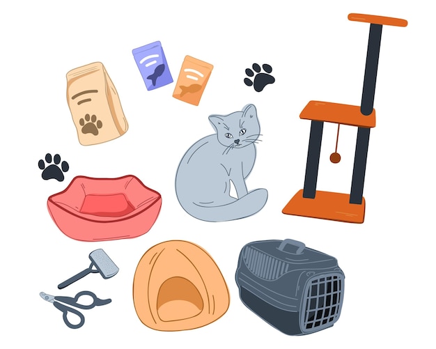 Set of accessories for a cat