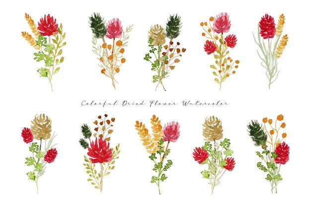 Vector a set of aesthetic dried flower bouquet arrangement watercolor