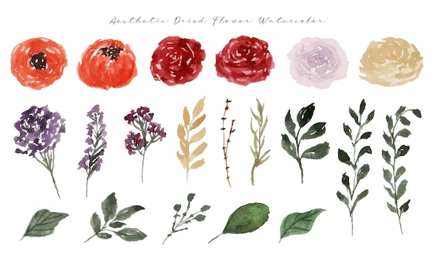 a set of aesthetic hand painted flower watercolor