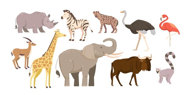 Vector set of african animals and birds fauna of africa savanna rhino elephant giraffe flamingo zebra