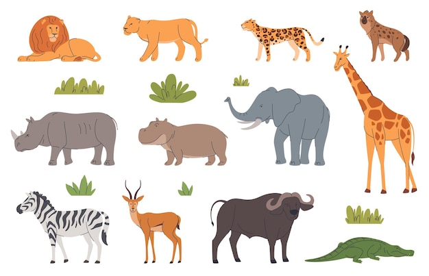 Vector set of african animals in zoo enclosures savanna fauna predators and herbivores exotic animals