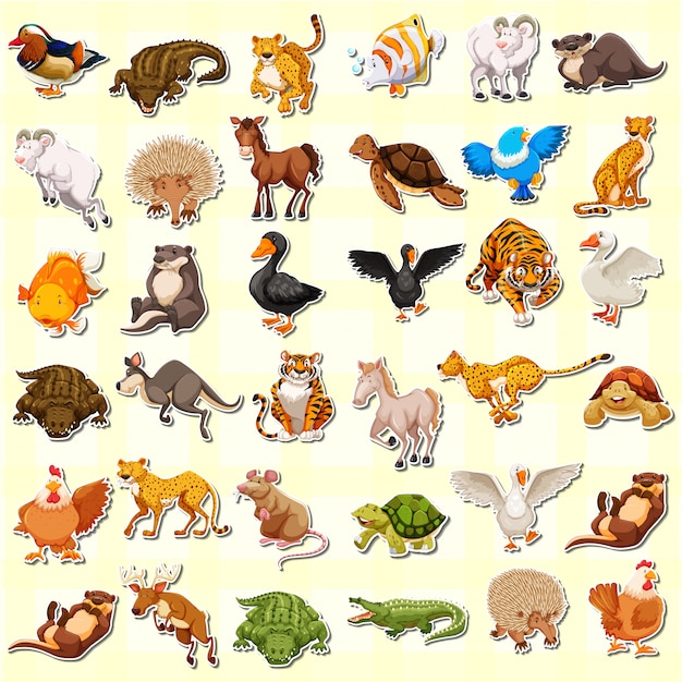 Set of animal sticker