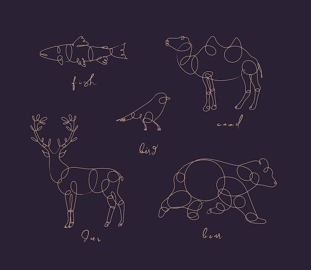 Set of animals fish camel bird deer bear drawing in pen line style on dark background