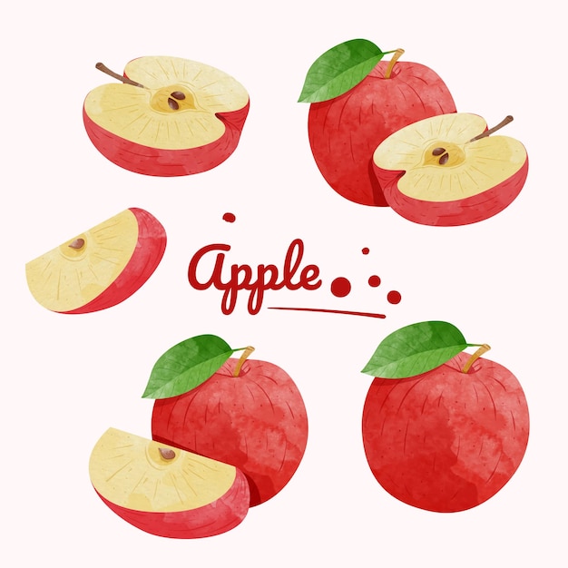 Set of Apple Fruit Design elements. watercolour style vector illustration.