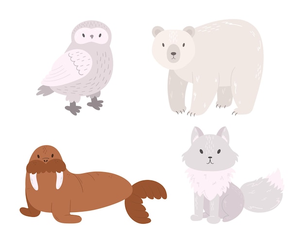 Set Of Arctic Animals Owl Polar Bear Walrus Arctic Fox Isolated On White Background Wildlife North Pole Creatures