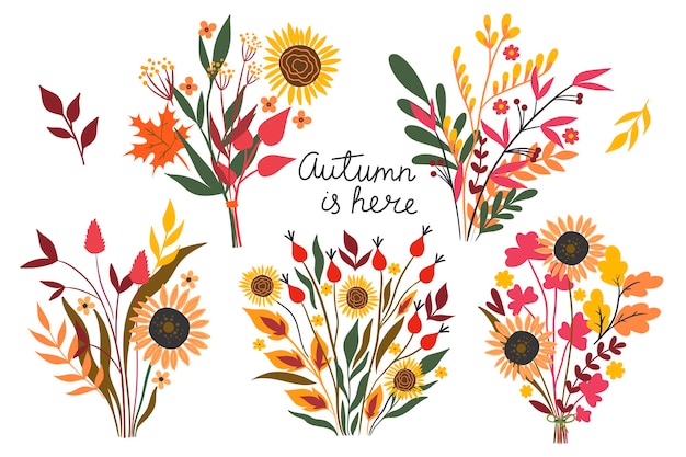 Set of autumn bouquets isolated on a white background. Vector graphics.