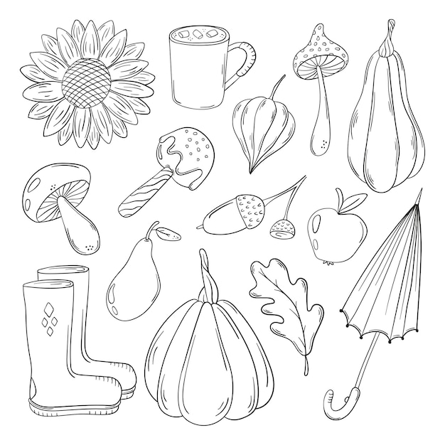 A set of autumn doodles vegetables foliage and objects isolated on a white background