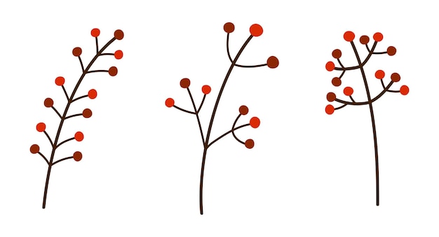 Set of autumn isolated branches with berries. Decorative red berries. Vector botanical illustration