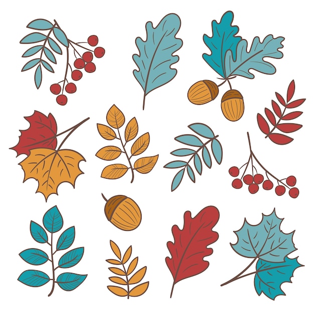 Set of autumn leaves and berries Isolated on white Simple cartoon style