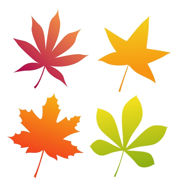 Set of autumn leaves of different colors. Isolated leaves on a white background