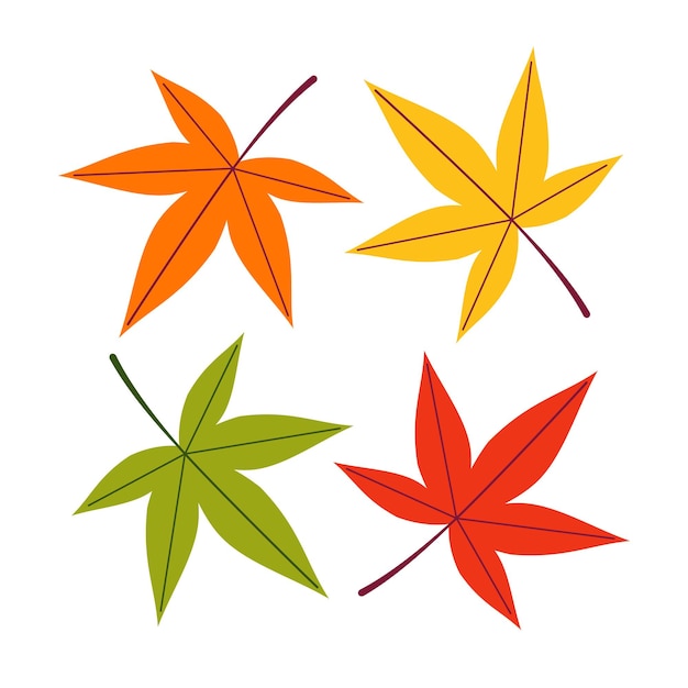 A set of autumn maple leaves of different colors on a white isolated background